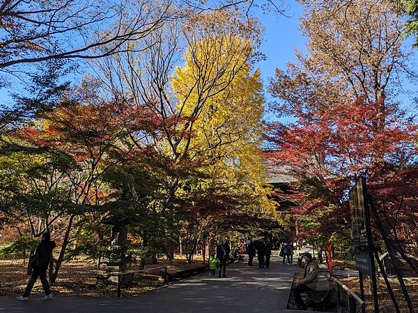 東京紅葉-九品佛淨真寺