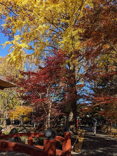 東京紅葉-九品佛淨真寺