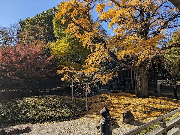 東京紅葉-九品佛淨真寺