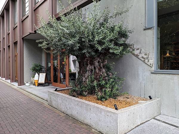 夏祭花火阿波舞-Day5 夏祭花火阿波舞-Day5