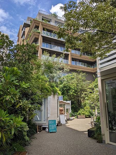 夏祭花火阿波舞-Day5 夏祭花火阿波舞-Day5