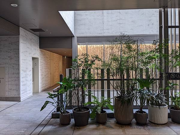 夏祭花火阿波舞-Day5 夏祭花火阿波舞-Day5