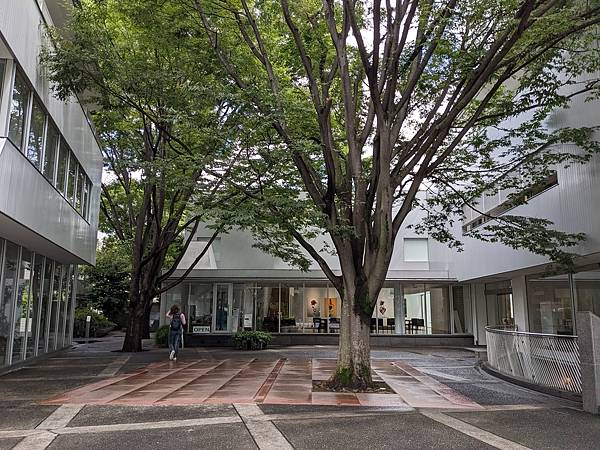 夏祭花火阿波舞-Day5 夏祭花火阿波舞-Day5