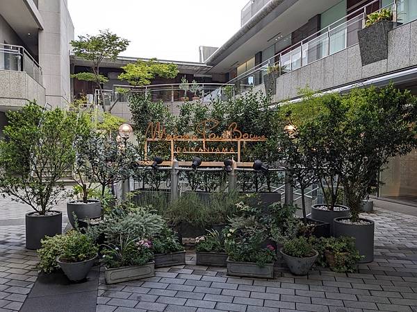 夏祭花火阿波舞-Day5 夏祭花火阿波舞-Day5