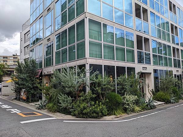 夏祭花火阿波舞-Day5 夏祭花火阿波舞-Day5