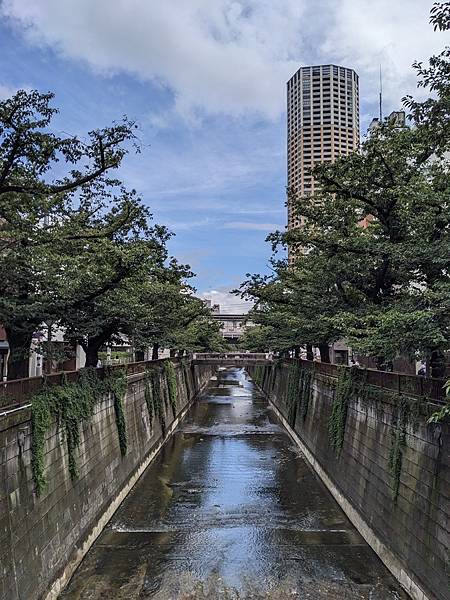 夏祭花火阿波舞-Day5 夏祭花火阿波舞-Day5