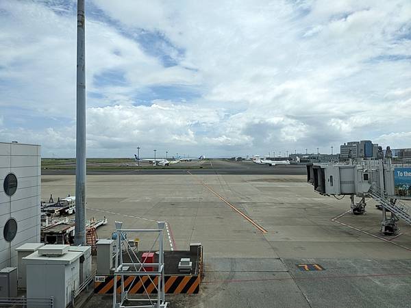 夏祭花火阿波舞-Day6