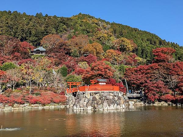 京阪滋賀紅葉行-Day2 京阪滋賀紅葉行-Day2