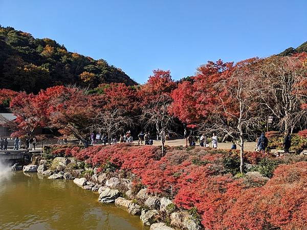 京阪滋賀紅葉行-Day2 京阪滋賀紅葉行-Day2