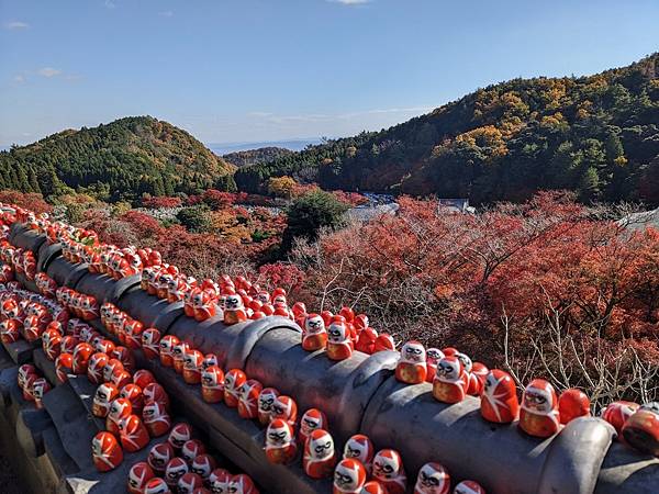 京阪滋賀紅葉行-Day2 京阪滋賀紅葉行-Day2