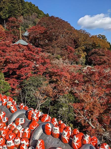 京阪滋賀紅葉行-Day2 京阪滋賀紅葉行-Day2