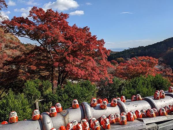 京阪滋賀紅葉行-Day2 京阪滋賀紅葉行-Day2