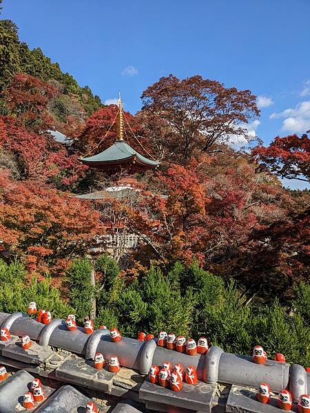 京阪滋賀紅葉行-Day2 京阪滋賀紅葉行-Day2