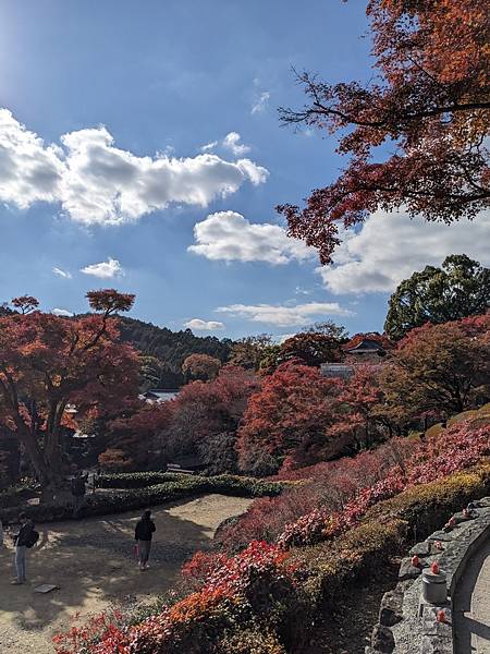 京阪滋賀紅葉行-Day2 京阪滋賀紅葉行-Day2
