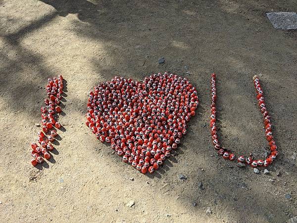 京阪滋賀紅葉行-Day2 京阪滋賀紅葉行-Day2