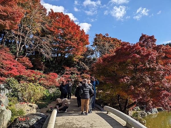 京阪滋賀紅葉行-Day2 京阪滋賀紅葉行-Day2