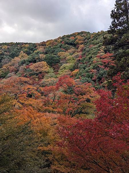 京阪滋賀紅葉行-Day2 京阪滋賀紅葉行-Day2