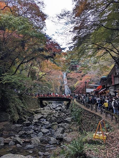 京阪滋賀紅葉行-Day2 京阪滋賀紅葉行-Day2