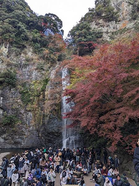京阪滋賀紅葉行-Day2 京阪滋賀紅葉行-Day2