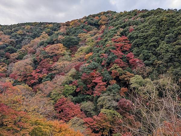 京阪滋賀紅葉行-Day2 京阪滋賀紅葉行-Day2