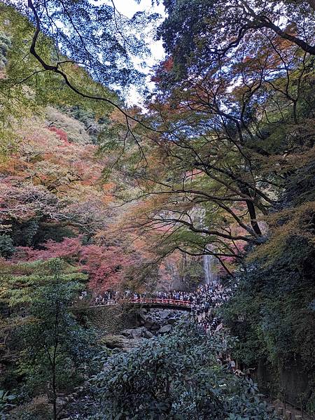 京阪滋賀紅葉行-Day2 京阪滋賀紅葉行-Day2