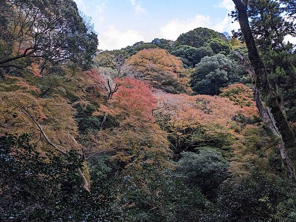 京阪滋賀紅葉行-Day2 京阪滋賀紅葉行-Day2