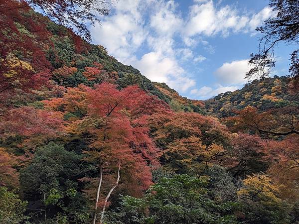 京阪滋賀紅葉行-Day2 京阪滋賀紅葉行-Day2