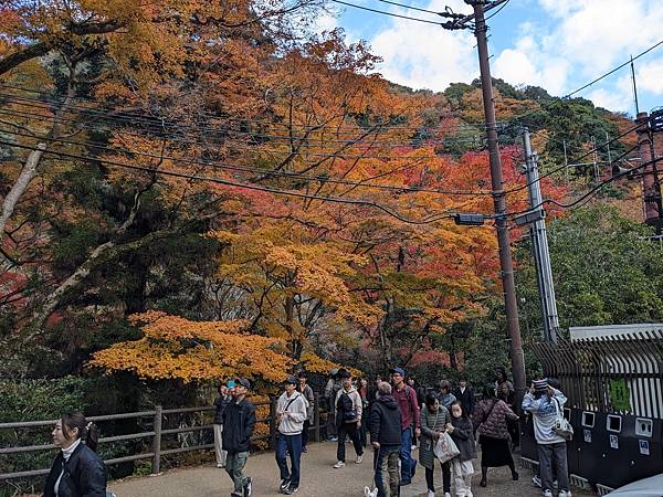 京阪滋賀紅葉行-Day2 京阪滋賀紅葉行-Day2