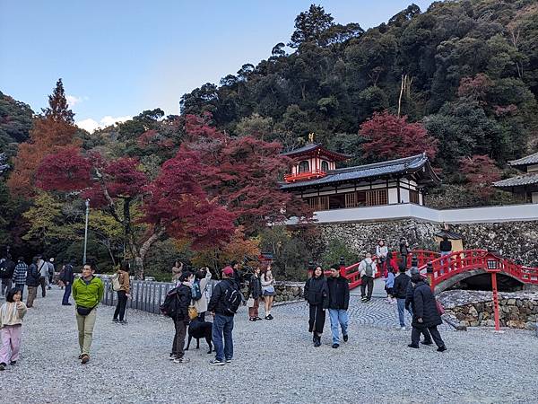 京阪滋賀紅葉行-Day2 京阪滋賀紅葉行-Day2