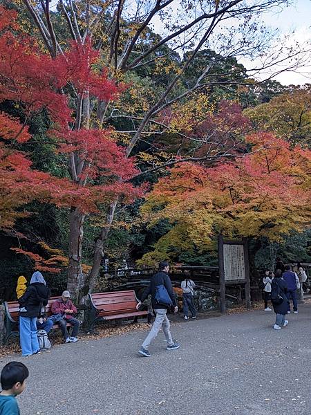 京阪滋賀紅葉行-Day2 京阪滋賀紅葉行-Day2