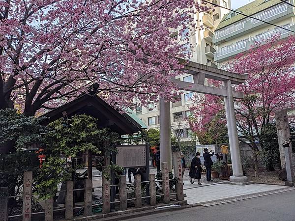 東京川越成田山-Day3