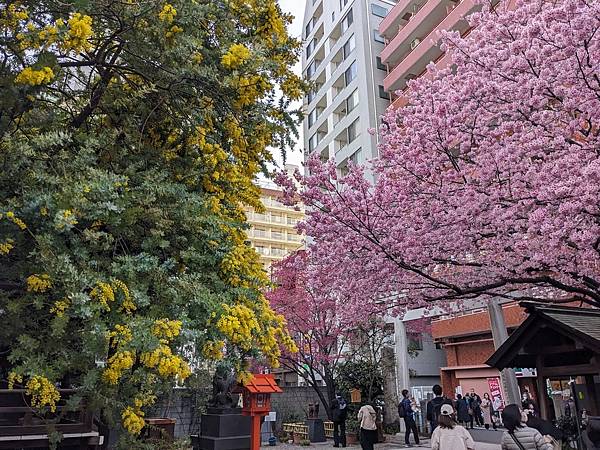 東京川越成田山-Day3