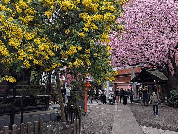 東京川越成田山-Day3