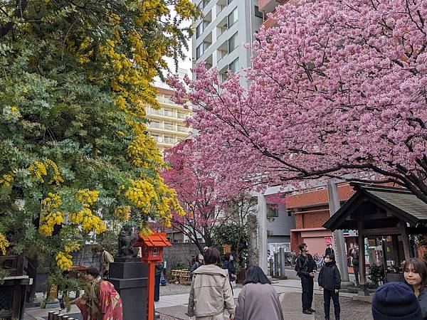 東京川越成田山-Day3