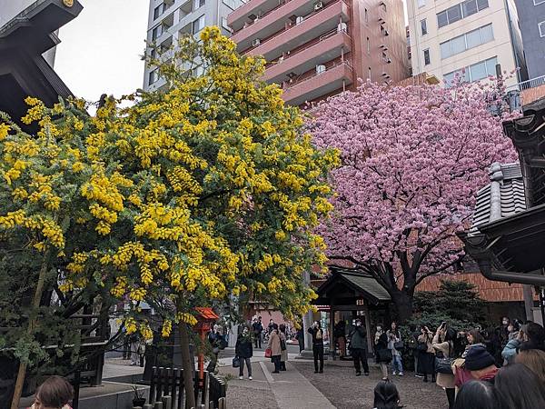 東京川越成田山-Day3