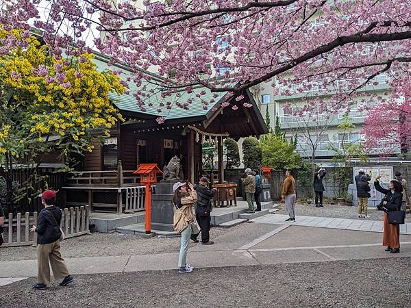 東京川越成田山-Day3