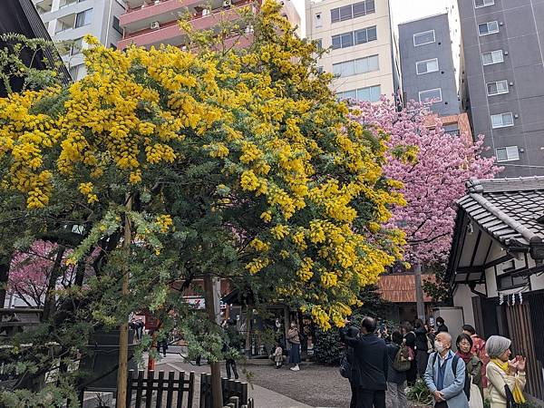 東京川越成田山-Day3