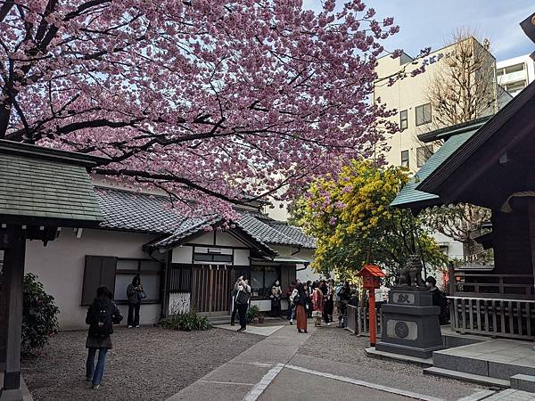 東京川越成田山-Day3