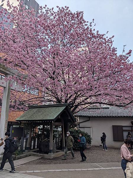 東京川越成田山-Day3