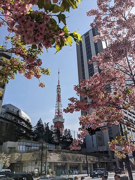 東京川越成田山-Day3