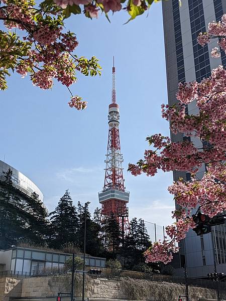 東京川越成田山-Day3