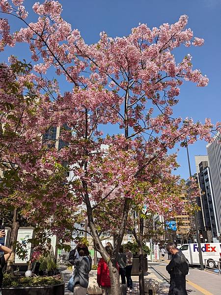 東京川越成田山-Day3