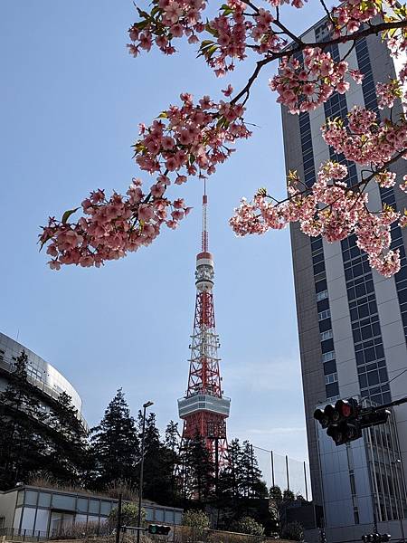 東京川越成田山-Day3