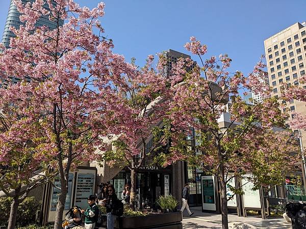 東京川越成田山-Day3