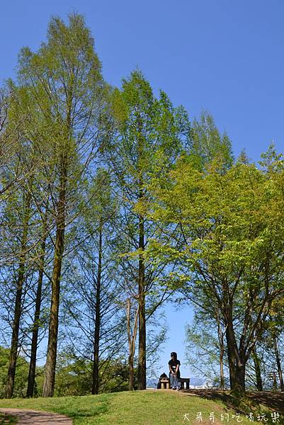 DSC_0084.JPG DSC_0084.JPG