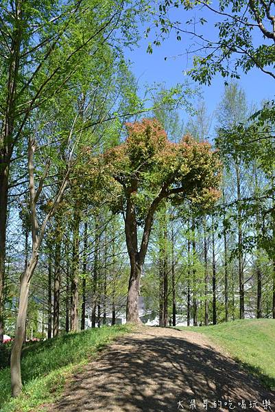 DSC_0075.JPG DSC_0075.JPG