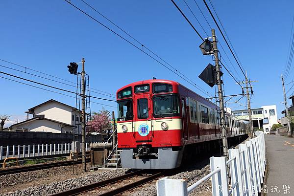 IMG_0975.JPG IMG_0975.JPG