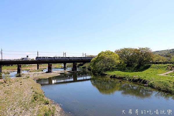 IMG_0982.JPG IMG_0982.JPG