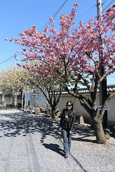 IMG_0978.JPG IMG_0978.JPG