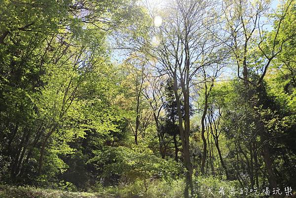 IMG_1063.JPG IMG_1063.JPG